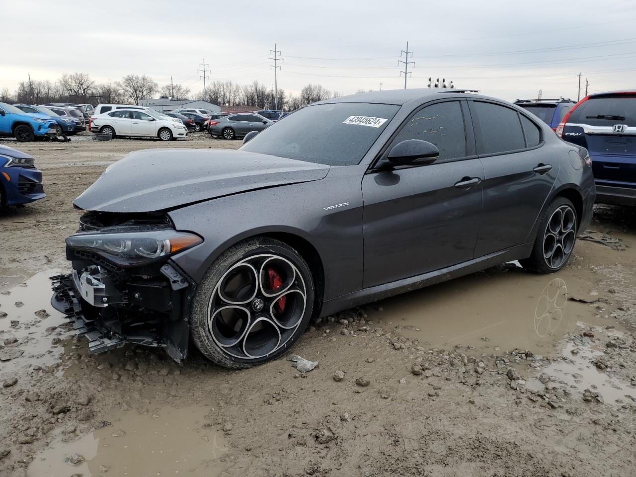 Alfa romeo Giulia 2024