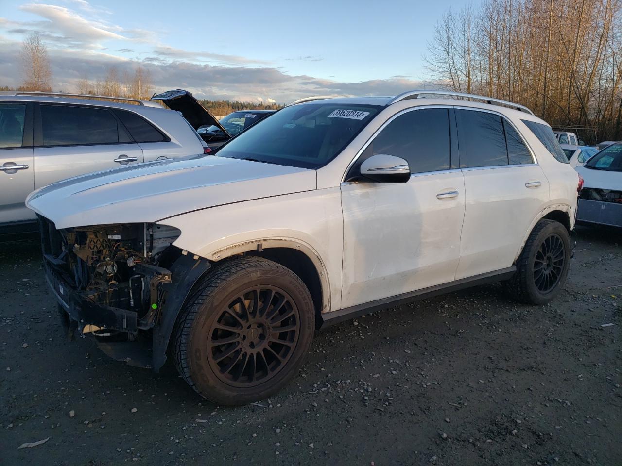 Mercedes-benz Gle-class 2020