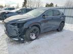 LEXUS NX 2022