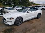 FORD MUSTANG 2023