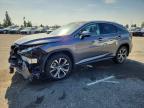 LEXUS RX 2022
