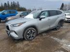 TOYOTA HIGHLANDER 2023