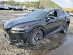 LEXUS RX 2026