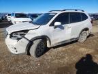 SUBARU FORESTER 2021