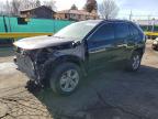 TOYOTA RAV4 2025