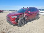 TOYOTA RAV4 HYBRID 2024