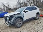 TOYOTA RAV4 2025