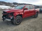 TOYOTA TACOMA 2024