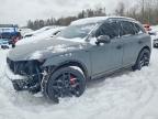 AUDI SQ5 2021