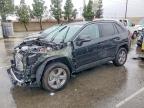 TOYOTA RAV4 HYBRID 2025