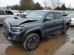 TOYOTA TACOMA 2021