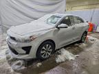 KIA RIO 2023