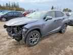 LEXUS NX 2021