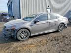 TOYOTA CAMRY 2023