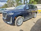 CADILLAC ESCALADE 2023
