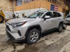 TOYOTA RAV4 2024