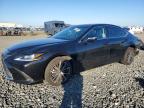 LEXUS ES 2022