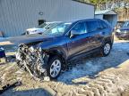 TOYOTA RAV4 2024