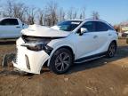 LEXUS RX 2024