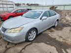 LEXUS ES 2007