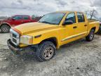 DODGE DAKOTA 2006