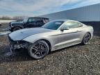 FORD MUSTANG 2020