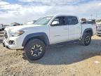 TOYOTA TACOMA 2019