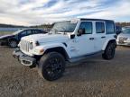 JEEP WRANGLER 2023
