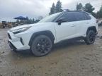 TOYOTA RAV4 HYBRID 2024