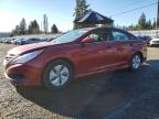 HYUNDAI SONATA 2014