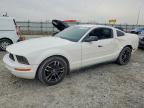 FORD MUSTANG 2005