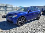 ALFA ROMEO STELVIO 2022