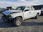DODGE DAKOTA 2005