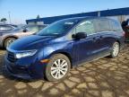HONDA ODYSSEY 2021