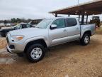 TOYOTA TACOMA 2023