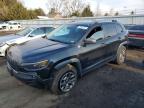 JEEP CHEROKEE 2021