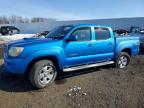 TOYOTA TACOMA 2005