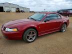 FORD MUSTANG 2003