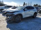 LEXUS NX 2024