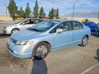 HONDA CIVIC 2007