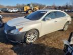 NISSAN MAXIMA 2010