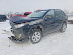 TOYOTA RAV4 2021