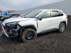 TOYOTA RAV4 2023