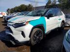 TOYOTA RAV4 2024