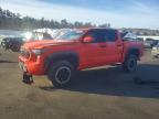 TOYOTA TACOMA 2024