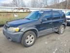 FORD ESCAPE 2007