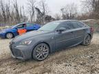 LEXUS IS 2019
