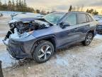 TOYOTA RAV4 PRIME 2021