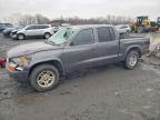 DODGE DAKOTA 2004
