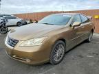 LEXUS ES 2007